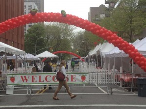 Strawberry festival   
